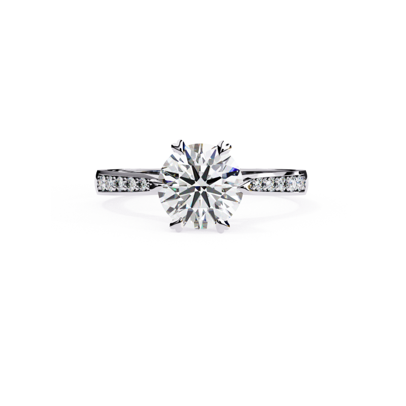 Timeless Radiance