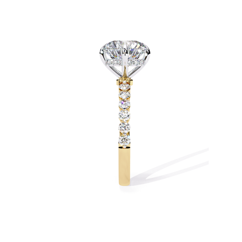 Stellar Radiance Ring