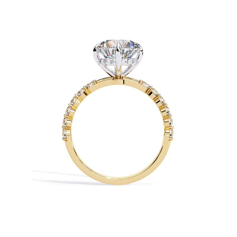 Stellar Radiance Ring