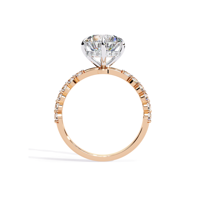 Stellar Radiance Ring